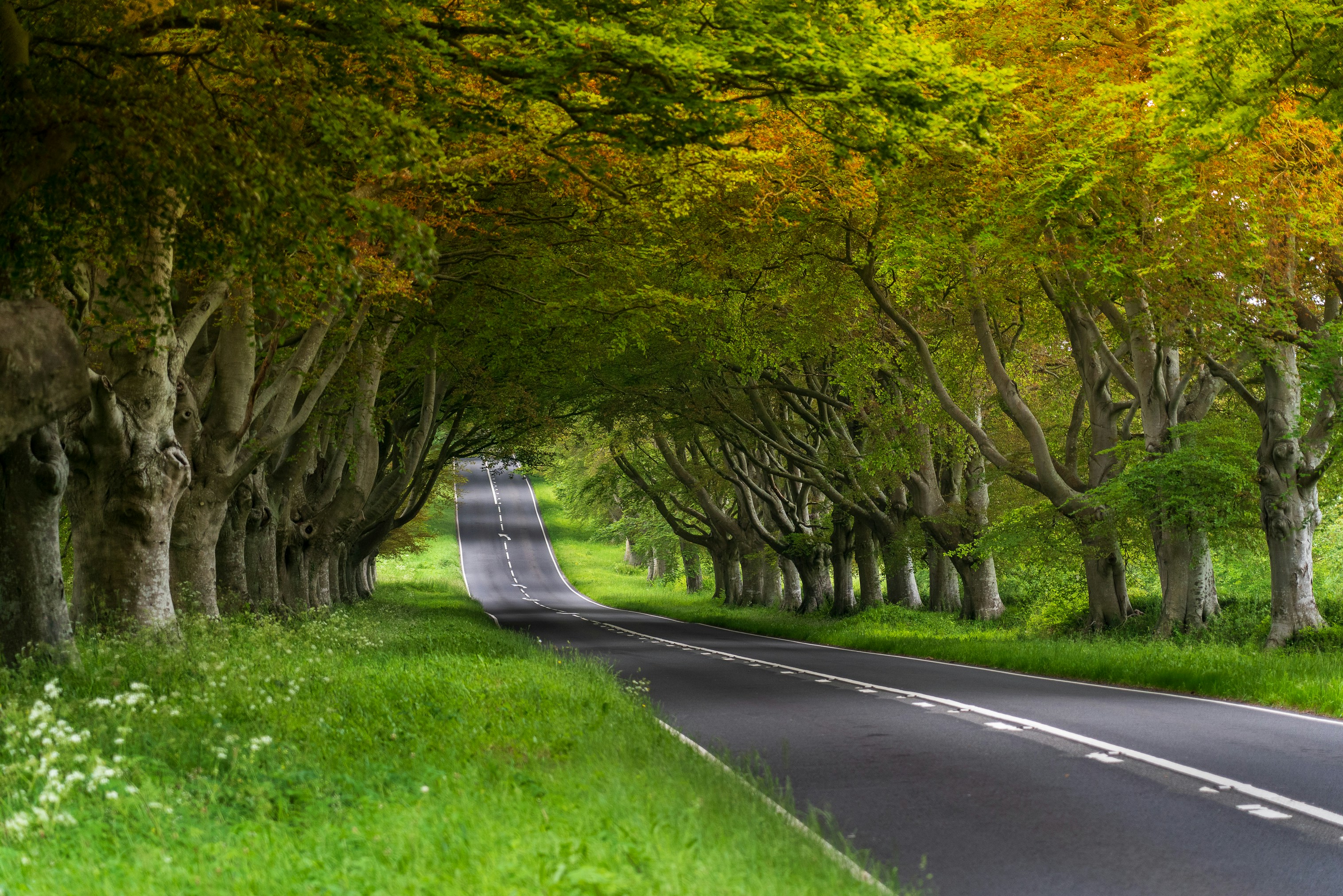 Advanced driving courses for drivers of all abilities